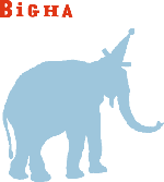 bigha_logo